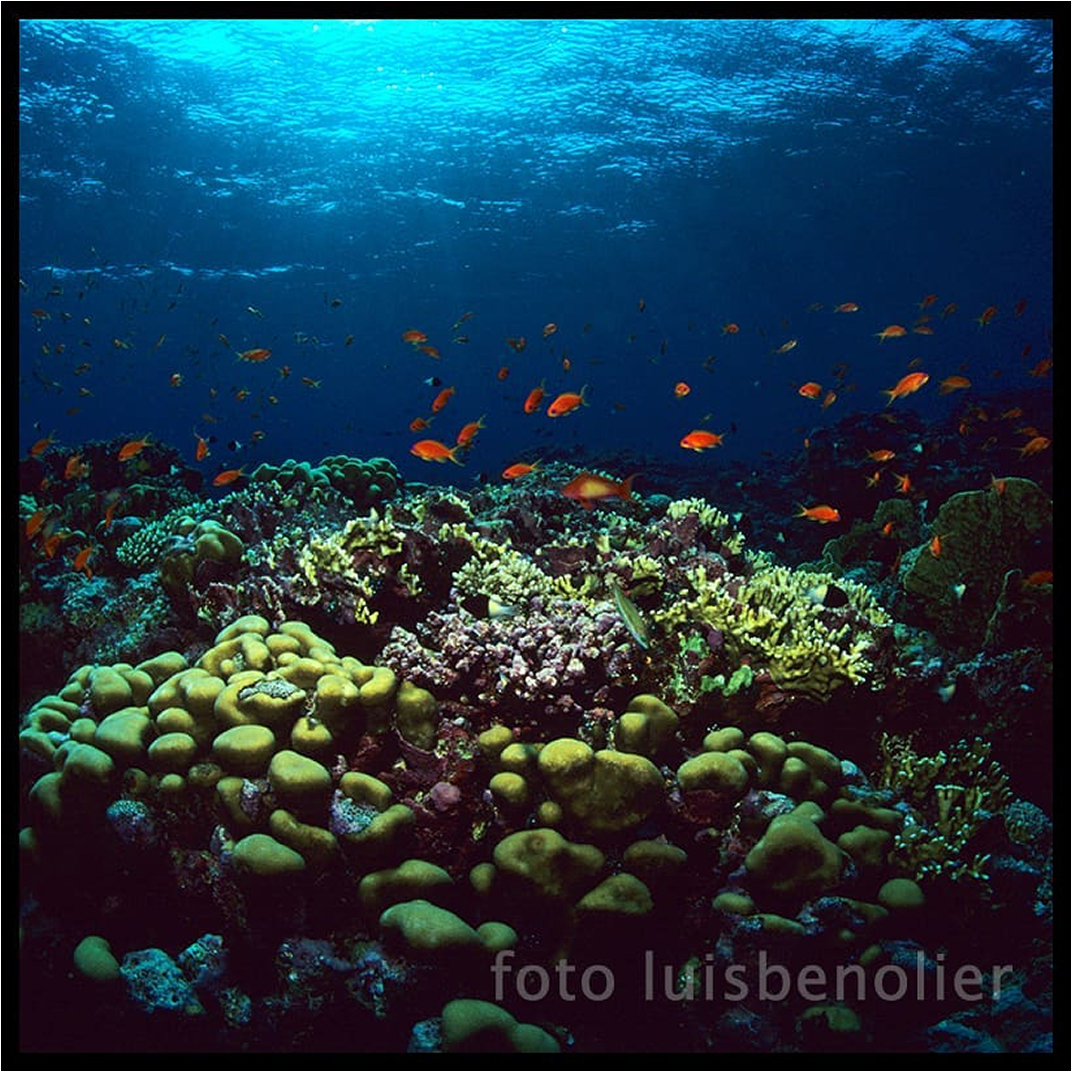 Mundo, mar y naturaleza 3