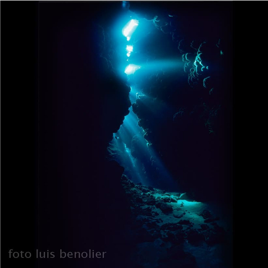 Mundo, mar y naturaleza 6